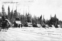 Removing Logs From the Harvest Area