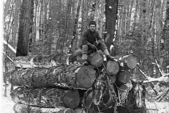 Removing Logs from the Forest