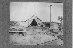 Camping in a Harvested Area