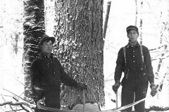 Sours Camp Timber Men