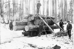 Loading Logs on the Rail Cars