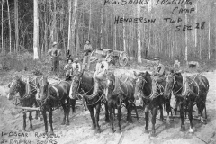 Sours Logging Camp in Henderson Twp