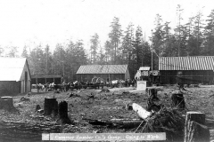Cummer Lumber Company Camp