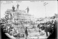 Collins Logging Camp