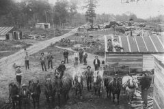 Harrietta Camp Number 17