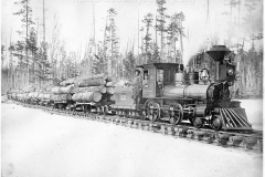 Muskrat Lake & Clam River Railroad in Missaukee County