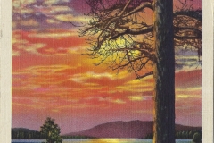 Cadillac-Random-Cadillac-Postcard-1