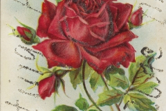 Cadillac-Random-Cadillac-Postcard-21