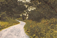 Cadillac-Random-Cadillac-Postcard-8