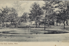 Cadillac City Park