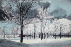City Park During Winter