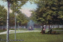 Cadillac City Park