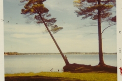 Kenwood Park