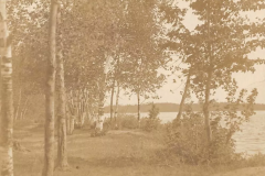 Cadillac-Structure-View-Of-Birches-From-The-Long-Bridge