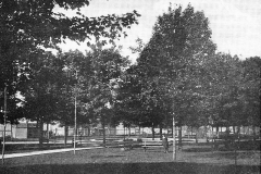 City Park