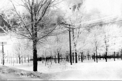 City Park During Winter