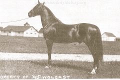 Ad Wolgast