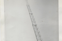 Fire Department Truck With Aerial Ladder