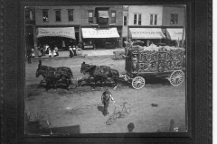 Circus Comes to Cadillac
