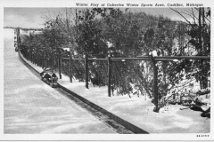 Caberfae Toboggan Run