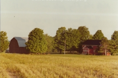 Hobart School Restoration, 1981