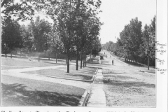 Shelby Street