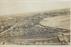 Acme Plant And Cummer Diggins Yards
