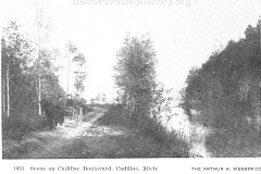 Cadillac-Recreation-North-Boulevard