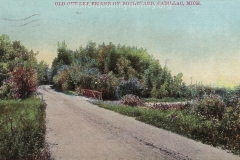 Cadillac-Recreation-Old-Outlet-Bridge-The-North-Boulevard-roadway-was-constructed-by-the-Mitchell-family.-This-1907-or-earlier.-photo-was-taken-approaching-the-Black-Creek-2