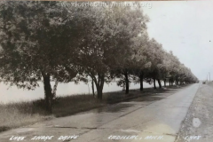 Cadillac-Street-Lake-Shore-Drive