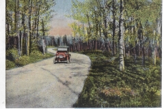 Cadillac-Street-North-Boulevard-1