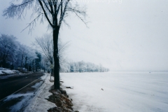 Cadillac-Street-North-Boulevard-2