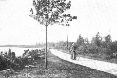 Lady With Her Bicycle