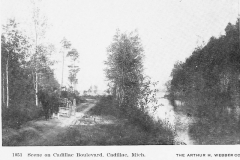 Horse and Buggy on North Boulevard.