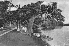Lake Cadillac Roadway