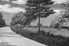 Lake Cadillac Roadway