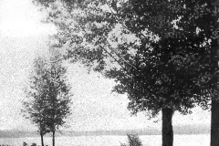 Lake Cadillac Roadway