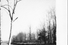 Canal for Transporting Logs