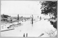 Floating Logs Eastward Through the Canal