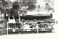 Shay Restoration
