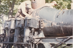 Shay Restoration