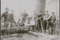 Cadillac-Lumber-Cutting-Timber