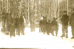 Cadillac-Lumber-Horses-work-in-deep-snow-at-R.-G.-Peters-camp