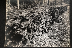 Cadillac-Lumber-Huge-Pile-Of-Removed-Bark