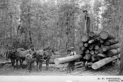 Cadillac-Lumber-Loading-Logs-Onto-Rail-Car