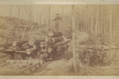 Cadillac-Lumber-Loading-Logs-Onto-Railroad-Car-For-Transport