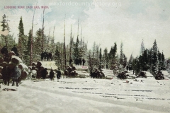Cadillac-Lumber-Logging-Near-Cadillac-Mich