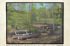 Cadillac-Lumber-Mitchell-Bros-and-Murphy-Logs