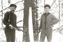 Cadillac-Lumber-Notching-A-Tree