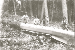Cadillac-Lumber-Peeling-Bark-Off-Cut-Trees-2